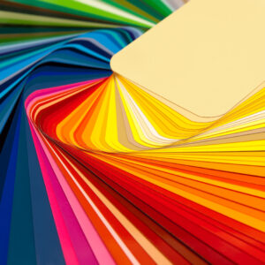 BLACK - Standard Color